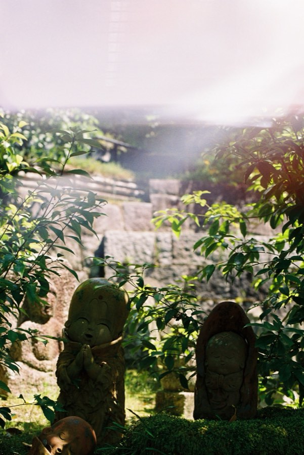 Two small stone figures with hands pressed together, half hidden in leaves and moss, sunlight flaring above them.